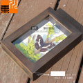 Good quality 3D Deep solid wood display shadow box for plant insects butterfly specimens frame